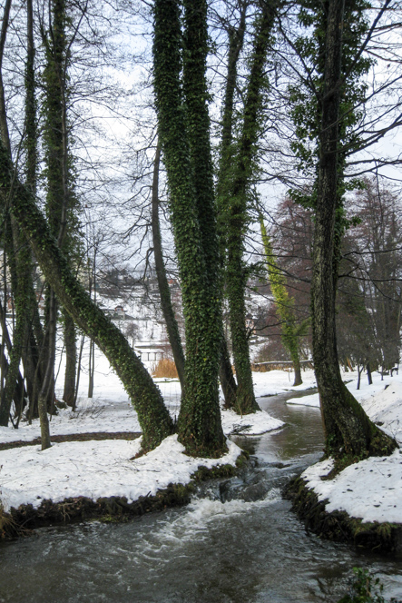 Snowy Bled, Slovenia