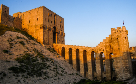 Citadel of Aleppo, Early 2009