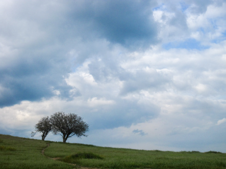 Outskirts of Ein Al-Arab, Syria, 2009